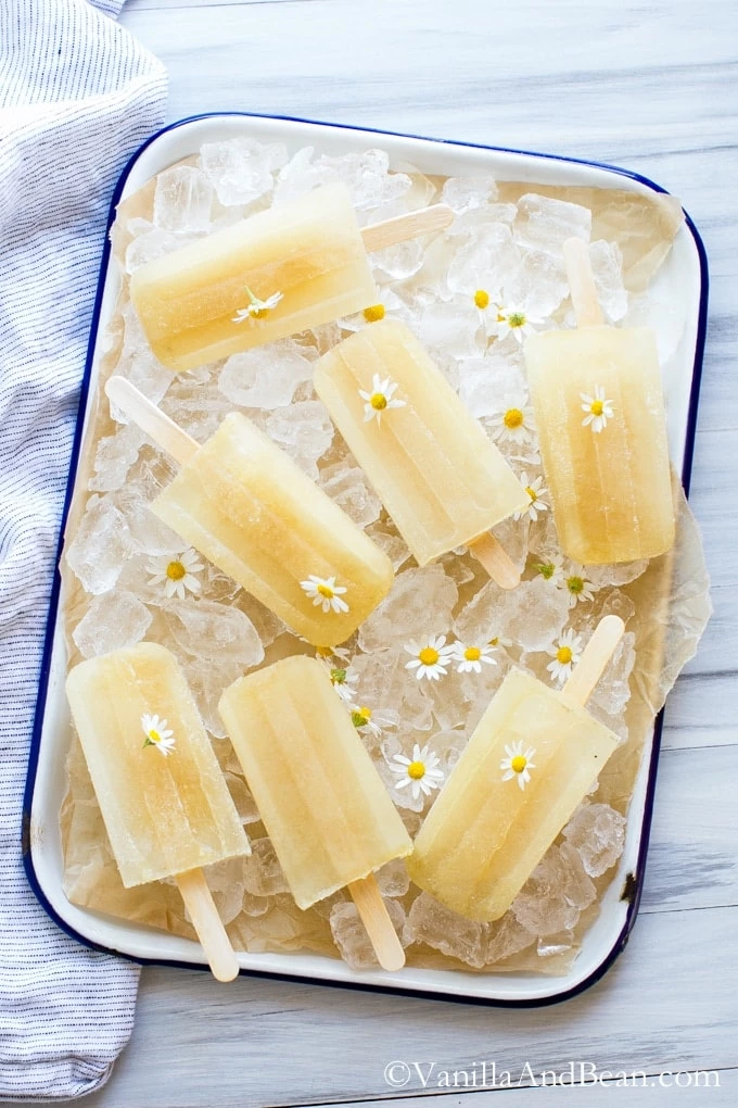 Delicious Adult Popsicles - Chamomile Honey Popsicle