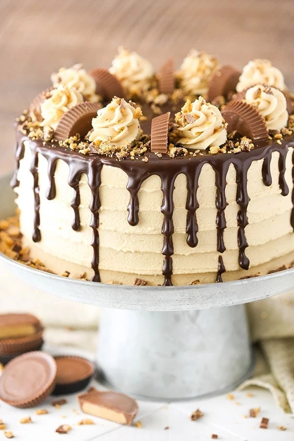 35 Cake Recipes - Peanut Butter Chocolate Cake