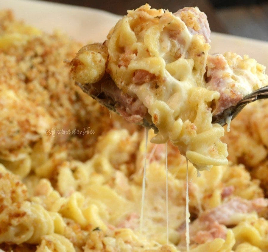 22 Instant Pot Meals - Plus Must Know Tips From Instant Pot Superstar Food Bloggers - Chicken Cordon Bleu