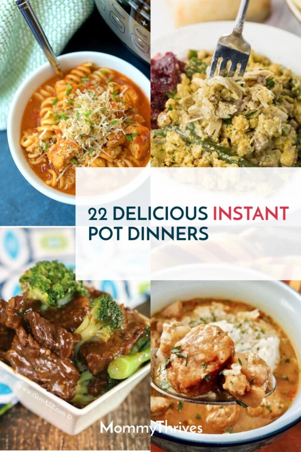 Instant Pot Recipes For Easy Dinners - Easy Recipes To Try In Your Instant Pot - Quick and Simple Instant Pot Recipes