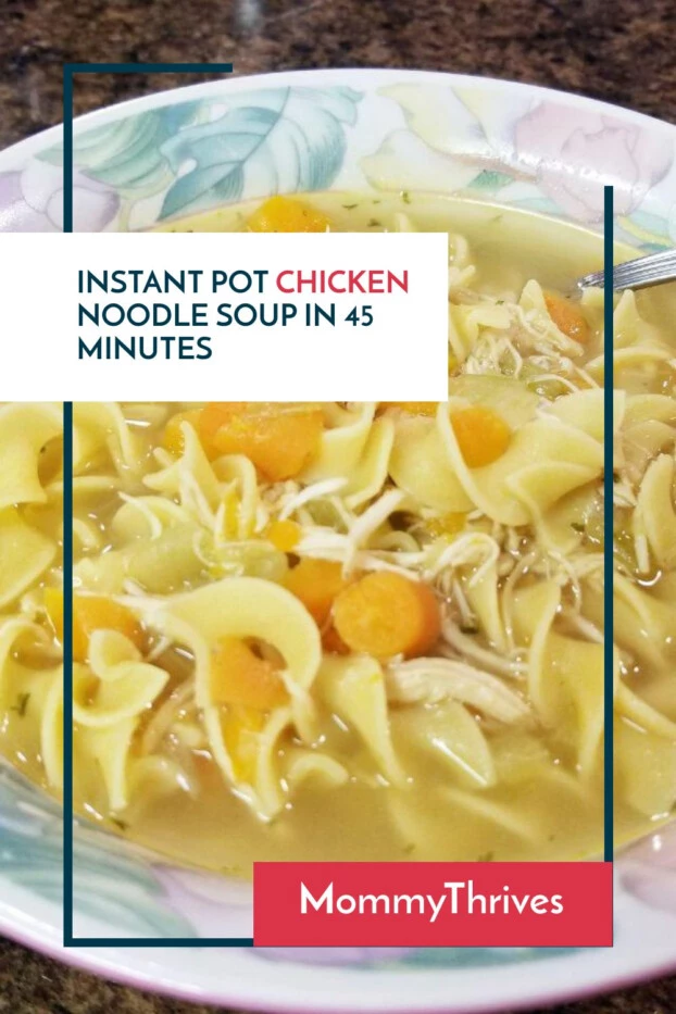 Budget Friendly Chicken Noodle Soup - Chicken Noodle Soup For Large Family - Instant Pot Chicken Noodle Soup For Weeknights