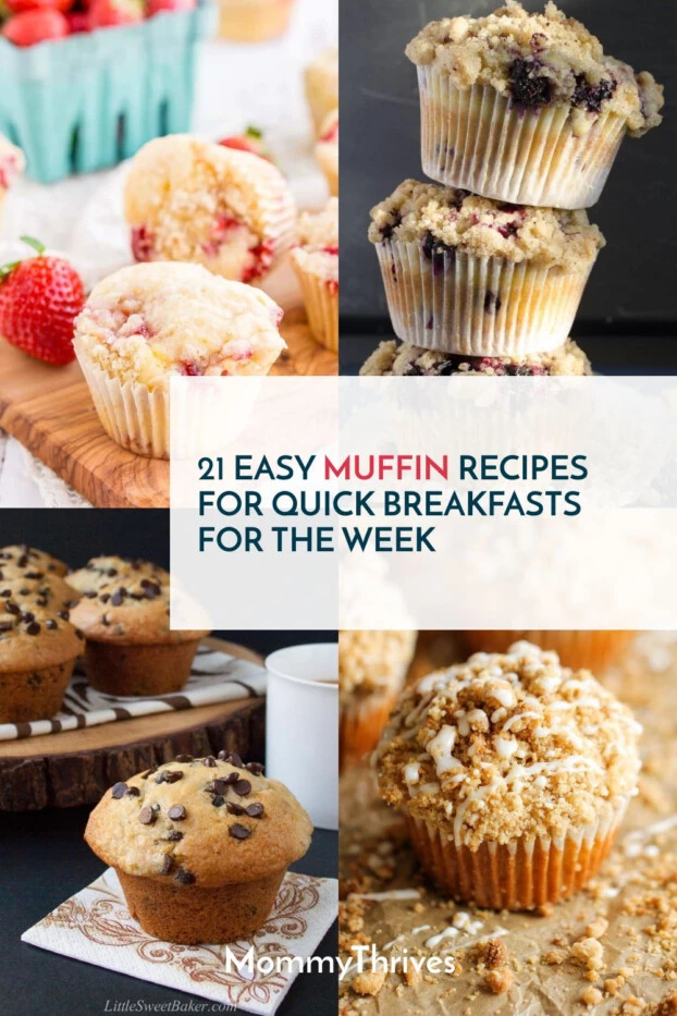 Easy Homemade Muffin Recipes - Quick and Easy Breakfast - 21 Easy Muffin Recipes You Must Make For Breakfast