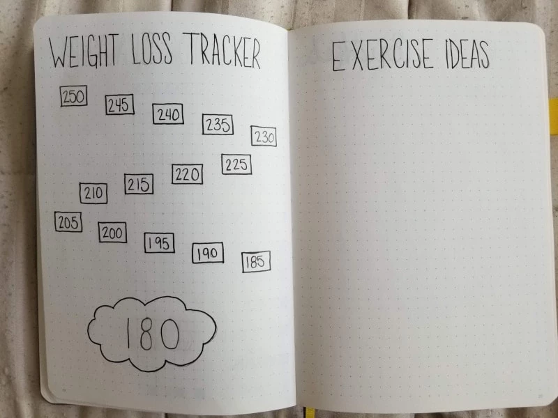 Bullet Journal Weight Loss Tracker