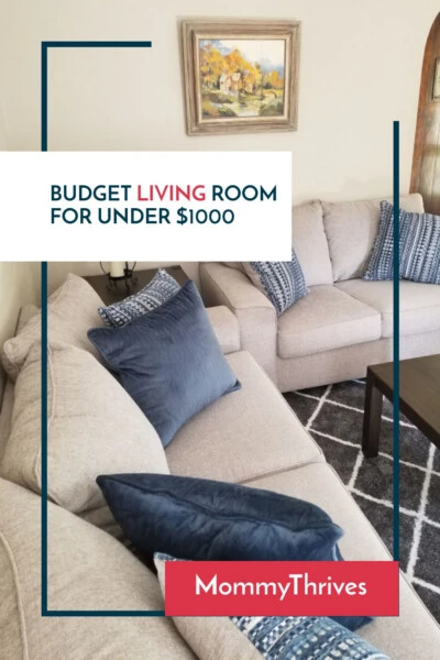 Apartment Decorating Ideas On A Budget - Living Room Decor On A Budget - Under Budget Decorating Tips For Living Room