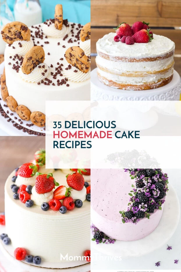 Best Homemade Cake Recipes - Easy Cake Recipes From Scratch - Fun Cake Recipes To Try - Cake Recipes For Parties