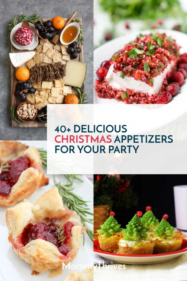 Appetizer Ideas For Holiday Parties - Christmas Appetizers You Must Serve At Your Get Together - Holiday Party Meal Planning Ideas