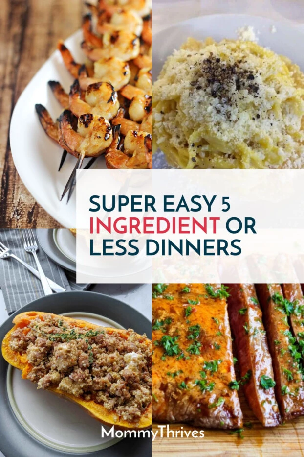 5 Ingredient Recipes To Make For Dinner - Quick and Easy Dinners with Just 5 Ingredients - Easy Meals For Weeknights