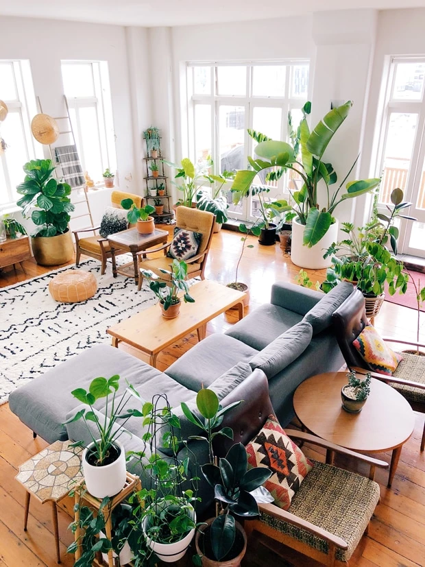 Cool grey small sectional sofa with a modern style coffee table and two chairs with an end table. Boho style patterns and colors in pillows and rugs. Lots of plants all over the room with lots of natural light coming in from windows.