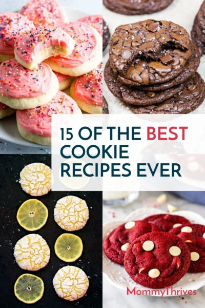 Cookies Recipes To Try This Year - Best Cookie Recipes For The Holidays - Cookie Recipes For Your Family