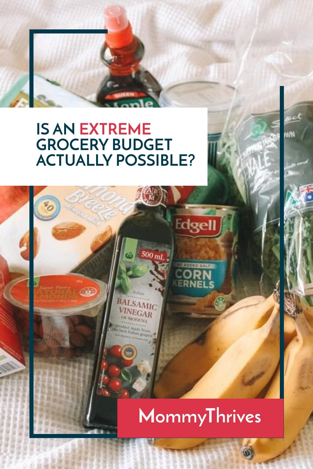 Saving Money On Grocery Shopping - Can You Live On An Extreme Grocery Budget - Extreme Grocery Budget Tactics To Use