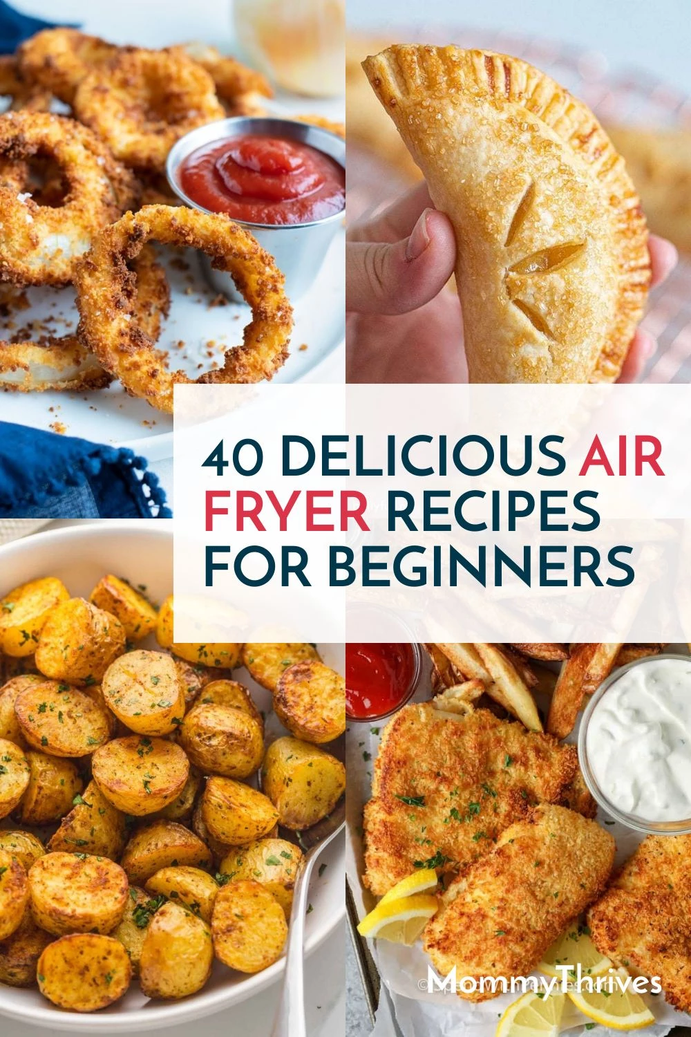 Delicious and Easy Air Fryer Meals - Air Fryer Meals For Your Family - Air Fryer Recipes To Start With