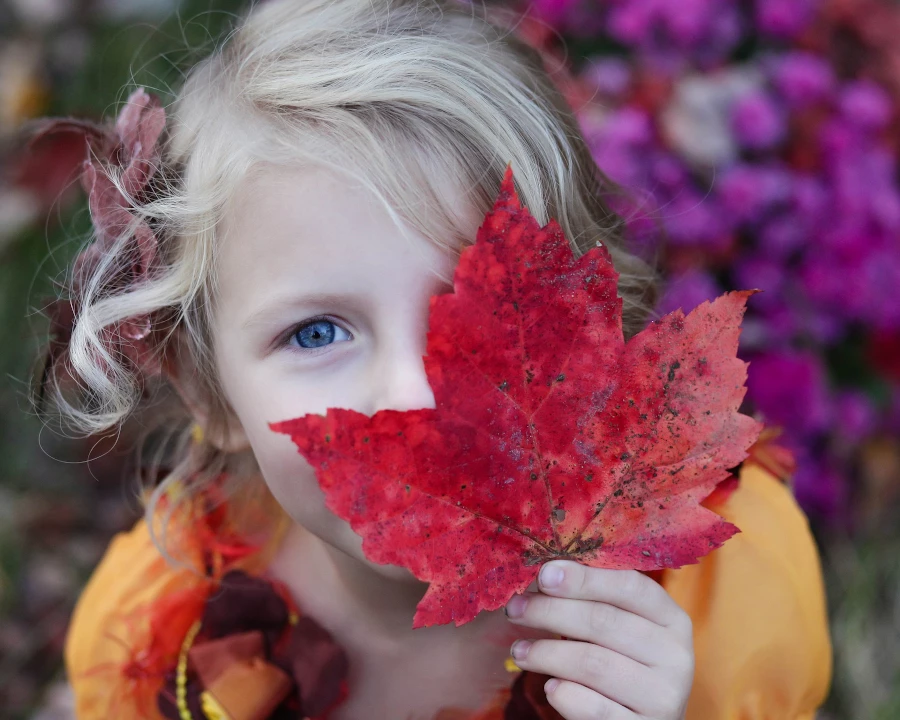 girl looking at camera with a big red maple leaf in front of half her face
