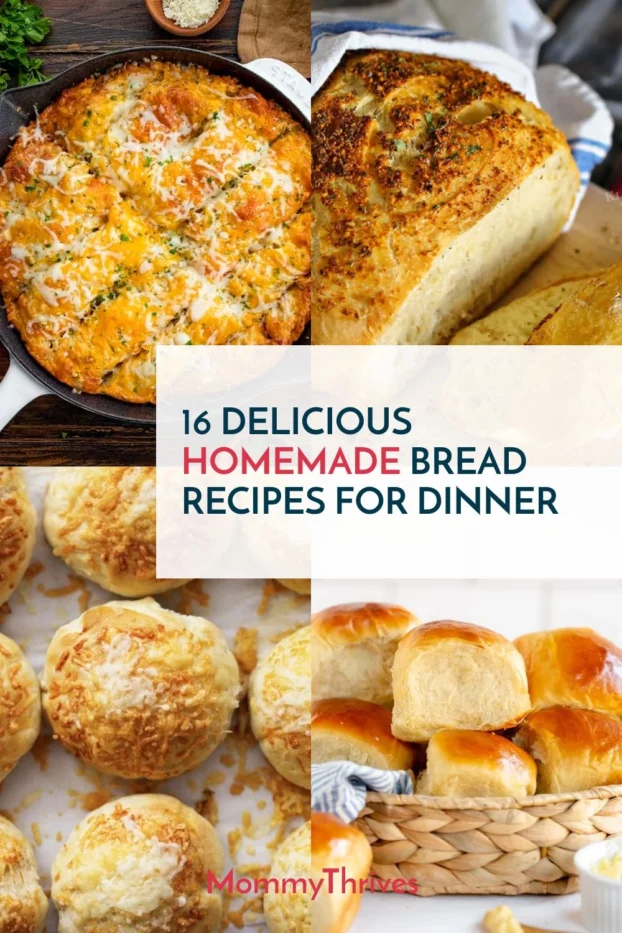 Homemade Bread Recipes For Dinner - Delicious Bread Recipes - Bread and Roll Recipes for Dinner