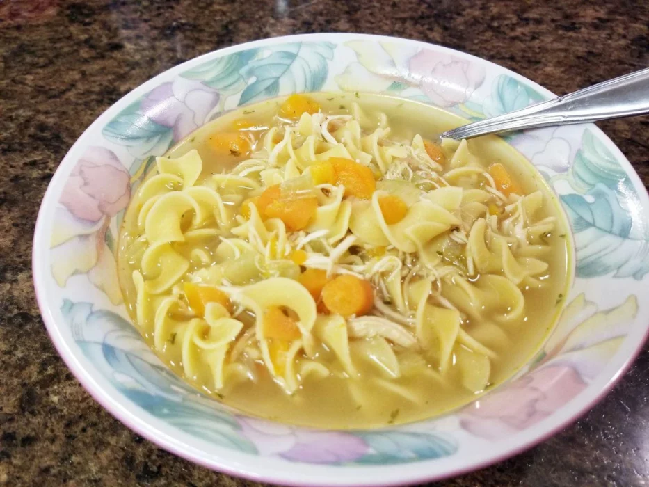 Instant Pot Chicken Noodle Soup - 2